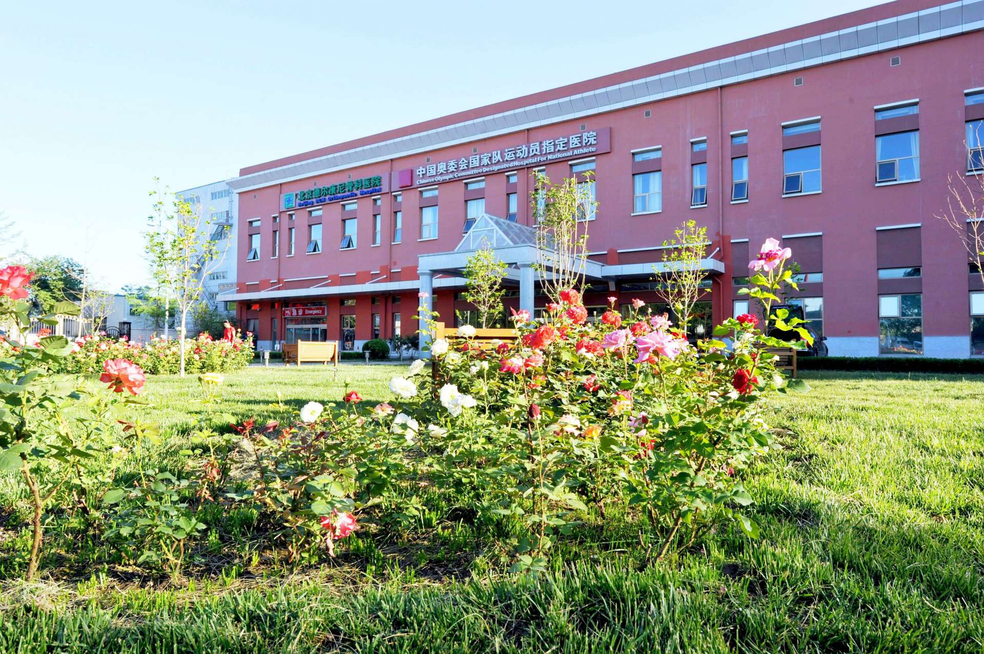 專注骨科二十年,加快建設研究型醫院、國(guó)際醫院 專注骨科二十年,加快建設研究型醫院、國(guó)際醫院